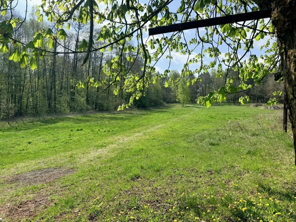 Działka Sprzedaż Maków