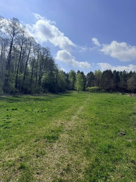 Działka Sprzedaż Maków