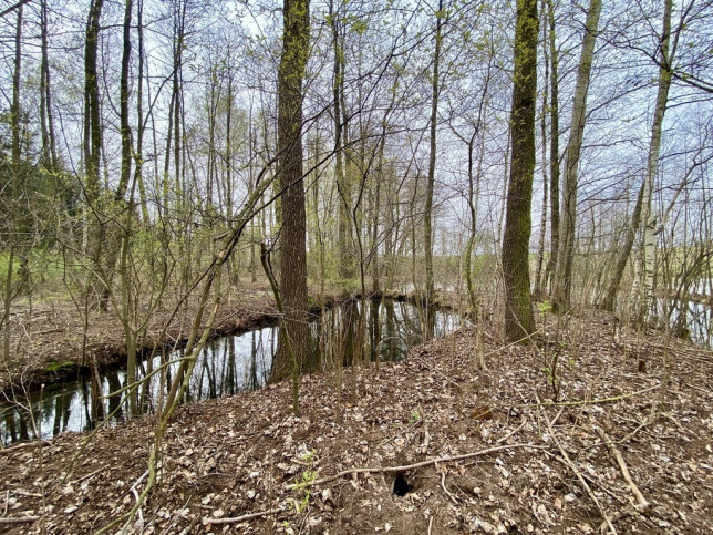 Dom Sprzedaż Ługi 13